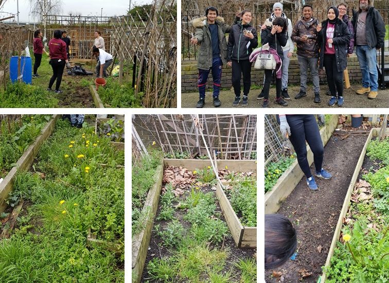 Community Heroes Go Green Transforming Local Community Allotment
